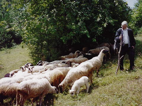 Limburger Besuch im Bergdorf Vukanovici (Bosnien-Herzegowina)vukanovici8.jpg